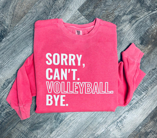 Sorry, Can’t. Volleyball. Bye.