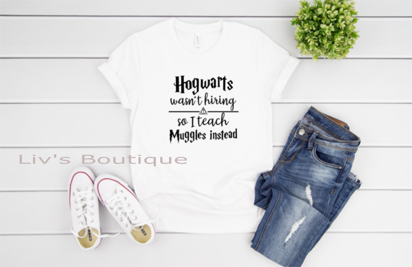 Hogwartz wasn't hiring so I teach