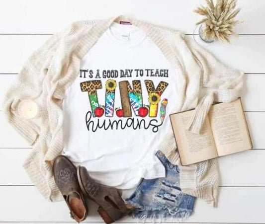 its a good day to teach tiny humans graphic tee